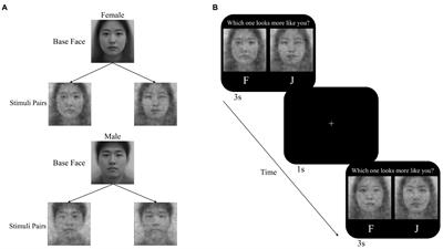 The relationship between mental representations of self and social evaluation: Examining the validity and usefulness of visual proxies of self-image